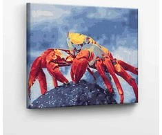TPS Tapyba pagal skaičius Krabas 40x50 cm