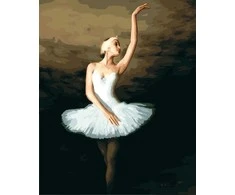 Tapyba pagal skaičius Balerina baltai 40x50 cm