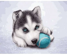 Tapyba pagal skaičius Husky šuniukas su kamuoliuku 40x50 cm