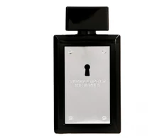 Antonio Banderas, The Secret, Eau De Toilette, For Men, 100 ml