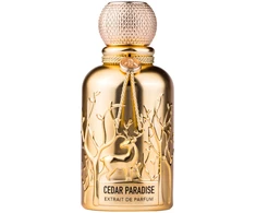 Auraa Desire Cedar Paradise PP kvepalai vyrams, 100 ml
