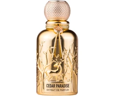 Auraa Desire Cedar Paradise PP kvepalai vyrams, 100 ml