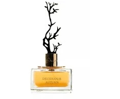 Aurora Scents Deciduous Autumn - EDP 100 ml + EDP 8 ml