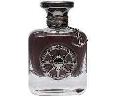 Aurora Scents Aurora Explorer Juodas EDP parfumuotas vanduo vyrams, 100 ml