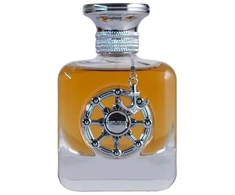 Aurora Scents Aurora Explorer Sidabrinis EDP parfumuotas vanduo vyrams, 100 ml