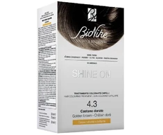 L'Oreal BioNike Shine On Permanent Hair Dye 4.3 Golden Brown, 145 ml