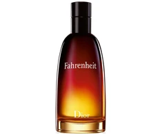 Christian Dior, Fahrenheit, Eau De Toilette, For Men, 100 ml