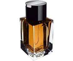 Dunhill Custom EDT tualetinis vanduo vyrams, 50 ml