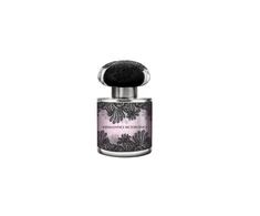 Ermanno Scervino Lace Couture EDP parfumuotas vanduo moterims, 50 ml