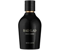 Fragrance World, Bad Lad, Eau De Parfum, For Men, 100 ml