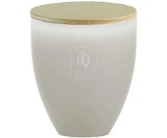 Giardino Benessere Baltas muskuso kvapioji žvakė, 100 g