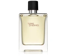 Hermes, Terre d'Hermes, Eau De Toilette, For Men, 100 ml