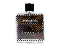 Louis Cardin Aspiration EDT tualetinis vanduo vyrams, 100 ml