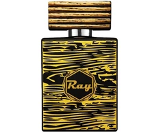 Louis Cardin Ray EDP parfumuotas vanduo vyrams, 100 ml