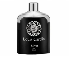 Louis Cardin, Sidabrinis, Eau De Parfum, For Men, 100 ml