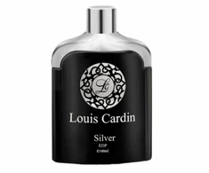 Louis Cardin, Sidabrinis, Eau De Parfum, For Men, 100 ml