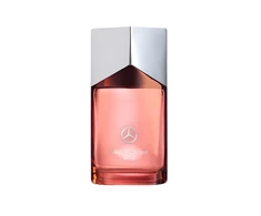 Mercedes-Benz, Land, Eau De Parfum, For Men, Papildomas, 100 ml
