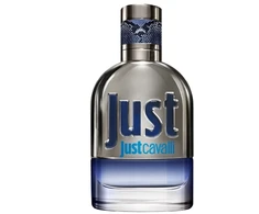 Roberto Cavalli, Just Cavalli, Eau De Toilette, For Men, 30 ml