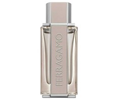 Salvatore Ferragamo Salvatore Ferragamo, šviesi oda, tualetinis vanduo, vyrams, 100 ml *Testeris vyrams