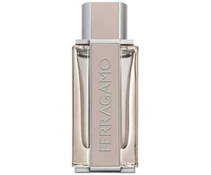 Salvatore Ferragamo, Bright Leather, Eau De Toilette, For Men, 100 ml