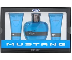 Rinkinys „Ford“: „Mustang Mėlyna“ tualetinis vanduo vyrams, 100 ml + „Mustang Mėlyna“ drėkinamasis balzamas po skutimosi, 100 ml + „Mustang Mėlyna“ drėkinamasis kūno prausiklis plaukams ir kūnui, 100 ml