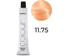 Subrina Professional , Highlift Colour, Permanent Hair Dye, 11/75 Skirtas šviesiems plaukams Special Chestnut Raudona, 100 ml For Women