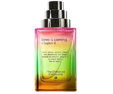 The Different Company Love is Coming Chapter II EDP kvepalai vyrams, 100 ml