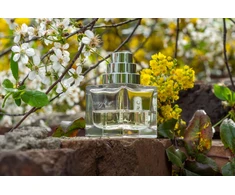Unisex kvepalai The Different Company Sublime Balkiss EDP, 50 ml
