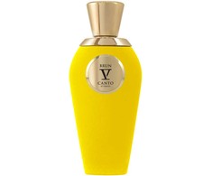 V Canto Brun PP kvepalai unisex, 100 ml
