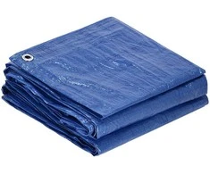 Brezentas Springos 2x2 m 60g/m2