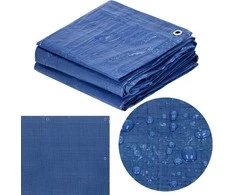 Brezentas Springos 10x8m 60g/m2