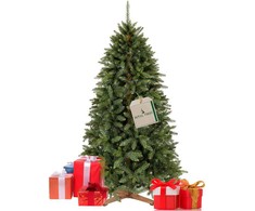 Springos Dirbtinė eglutė Royal Trees Sibiro eglė 180 cm
