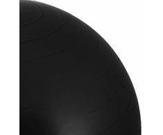 Gimnastikos kamuolys Springos FB0013 55 cm juodas