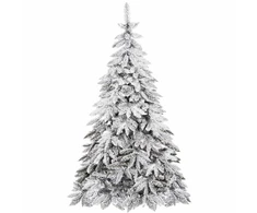 Kaukazo eglė Springos CT0125, 220 cm