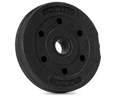 Springos Svorio diskas 1,25 kg