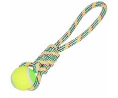 Šuns žaislas Springos PA0276, 35 cm