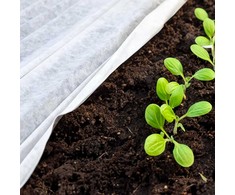 Agrotekstilė Springos AG0002, 70 g/m2, 50x1,6 m, balta