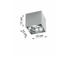 Lubinis šviestuvas Sollux Lighting Sollux Plafonas BLAKE pilkas