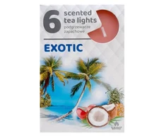 Admit Arbatinės kvepiančios žvakutės Exotic 6vnt