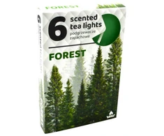 Admit Arbatinės kvepiančios žvakutės Forest 6vnt