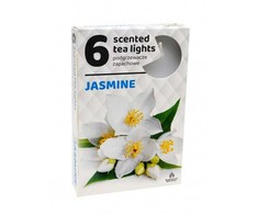 Admit Arbatinės kvepiančios žvakutės Jasmine 6vnt