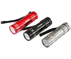 Prožektorius su vnt.(3*AAA) 9LED, TS732
