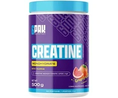 6PAK Kreatino Monohidratas 500g – Citrinų Skonis