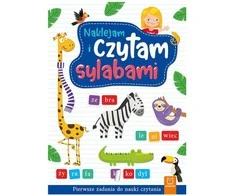 Aksjomat Axiom Knyga Mokymuisi Skaityti su Skiemais KS0812
