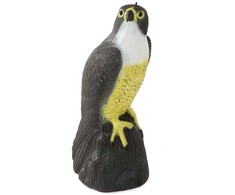 Falcon bird deterrent starlings pigeons mice large