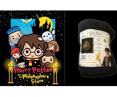 Warner Bros Discovery Hario Poterio vilnos antklodė