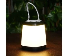 Home Styling Collection LED stalinė lemputė 12x9 cm dimeris baltas