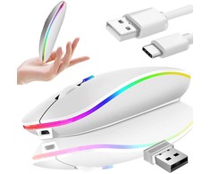 Belaidė pelė su RGB apšvietimu ir USB-C jungtimi