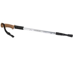 Nordic walking cork walking stick
