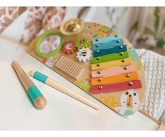 Tooky Toys Paimtas žaislinis daugiafunkcinis instrumentas Muzikinis centras ksilofonas Tarka trębek būgno plokštelė